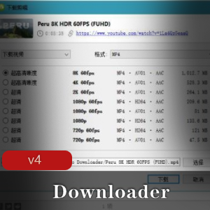 Video Downloader v4