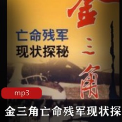 有声书 [人文传记] [人物传记][成龙传][李山播讲][41集]完整全集[mp3]