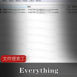 Everything文件搜索工具