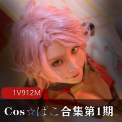 [cosav]Cos☆ぱこ合集第1期