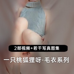 一只桃狐狸呀_灰色毛衣系列！